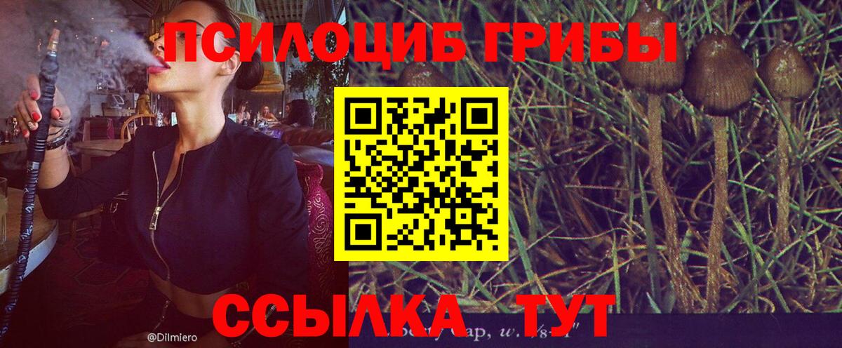 Галлюциногенные грибы Psilocybine cubensis  Вход с VPN  Реутов  Галлюциногенные грибы Cubensis 